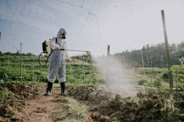Best Local Pest Control Services  in Star City, WV
