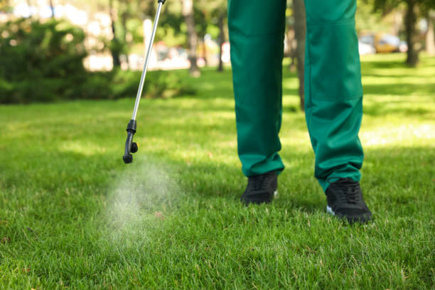 Best Commercial Pest Control Services  in Star City, WV