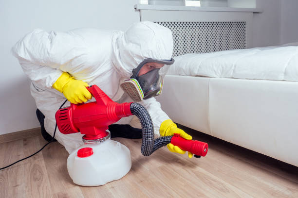 Best Affordable Pest Control Services  in Star City, WV