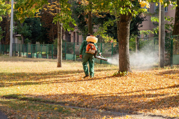 Best Pest Removal Services  in Star City, WV